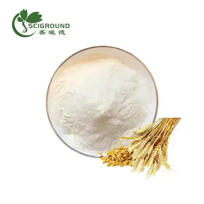 Bulk Wheat Protein Powder